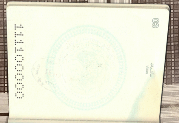 Algeria Passport PSD Template - Editable, Multi-Purpose Design - Image 4