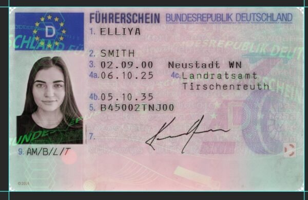 Germany Driving Licence PSD Template 2021 – Fully Editable & Instant Download - Image 5