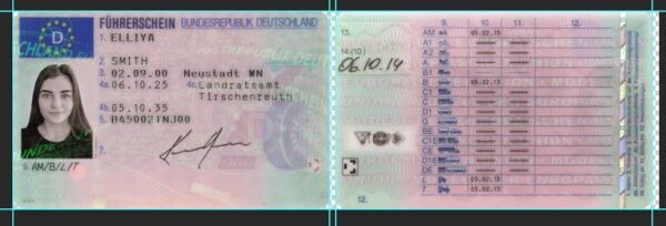 Germany Driving Licence PSD Template 2021 – Fully Editable & Instant Download - Image 6