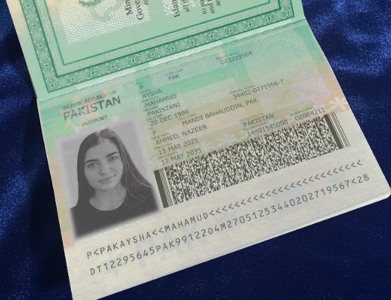 Pakistan Passport PSD Template (Version 2) – Fully Editable & Instant Download - Image 4