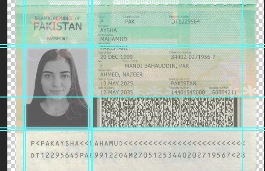 Pakistan Passport PSD Template (Version 2) – Fully Editable & Instant Download - Image 5