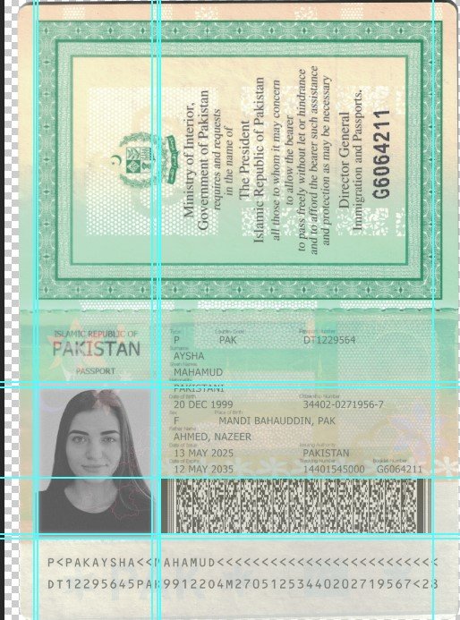 Pakistan Passport PSD Template (Version 2) – Fully Editable & Instant Download - Image 7