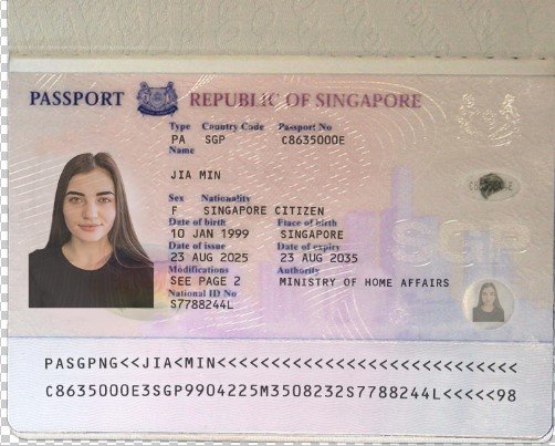 Singapore Passport PSD Template (2006-2017) – Fully Editable & Instant Download - Image 6