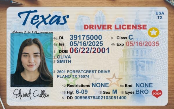 USA Texas Driver's License V1 PSD Template  – Fully Editable & Instant Download - Image 2