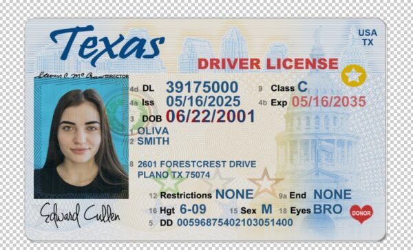 USA Texas Driver's License V1 PSD Template  – Fully Editable & Instant Download - Image 4