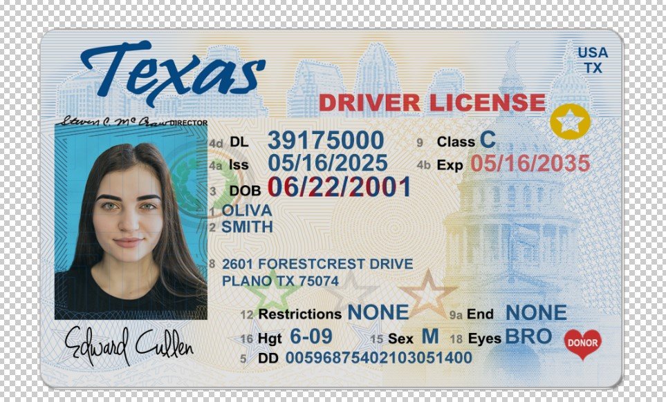 USA Texas Driver's License V1 PSD Template  – Fully Editable & Instant Download - Image 4