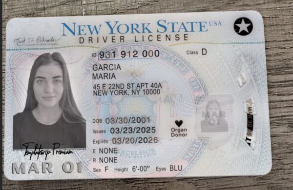 USA New York Driver's License V4 2023 PSD Template  – Fully Editable & Instant Download - Image 3