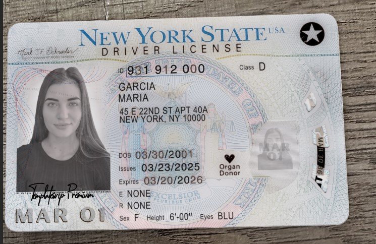USA New York Driver's License V4 2023 PSD Template  – Fully Editable & Instant Download - Image 3