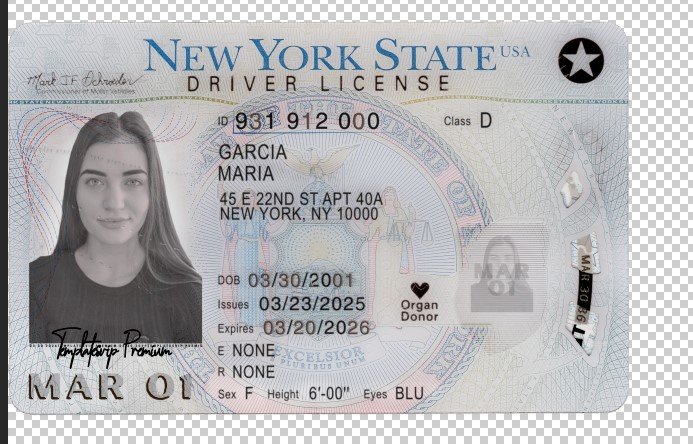 USA New York Driver's License V4 2023 PSD Template  – Fully Editable & Instant Download - Image 4