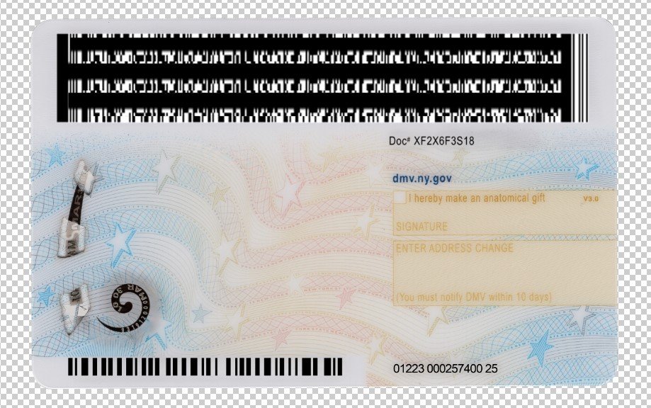 USA New York Driver's License V4 2023 PSD Template  – Fully Editable & Instant Download - Image 5