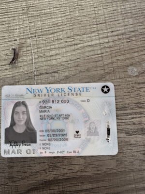 USA New York Driver's License V4 2023 PSD Template (Version 4) – Fully Editable & Instant Download