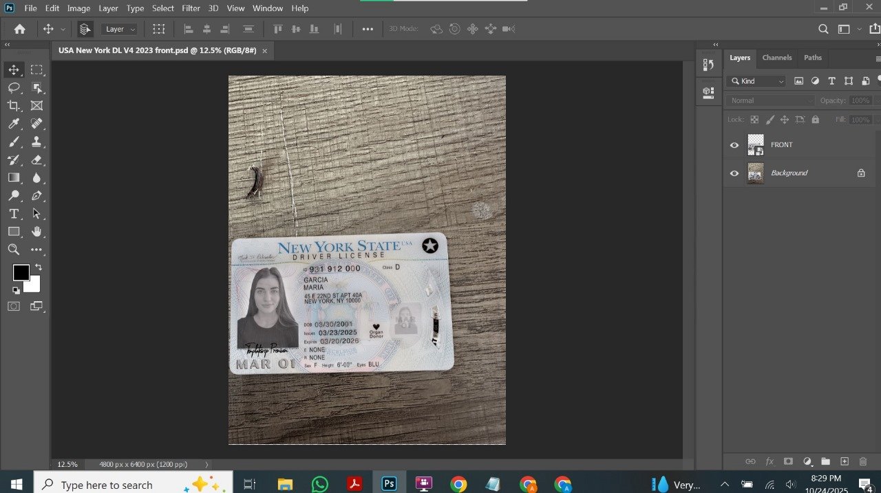 USA New York Driver's License V4 2023 PSD Template Preview