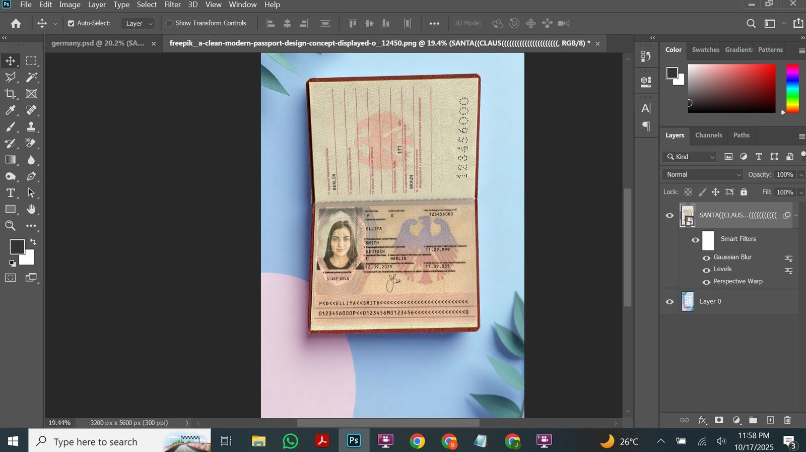 Germany Passport V1 PSD Template Preview