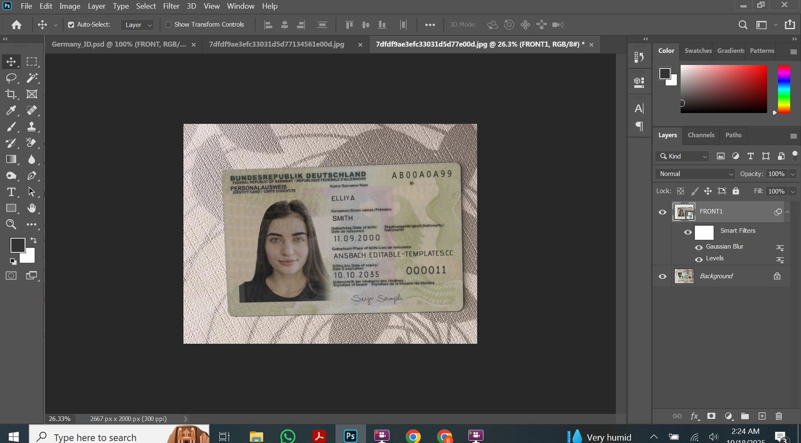 Germany ID Card V1 PSD Template Preview