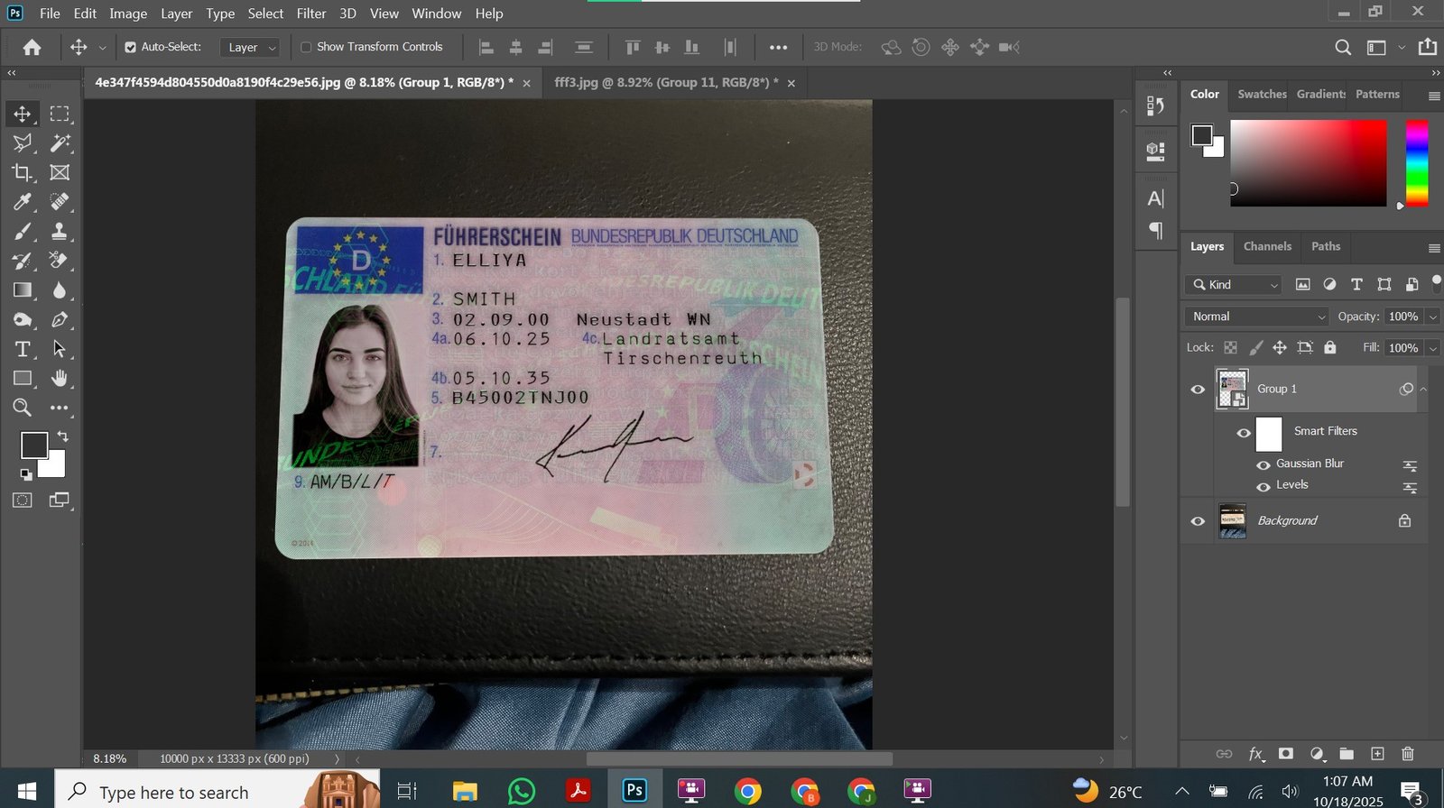 Germany Driving Licence PSD Template Preview