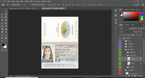 Egypt Passport 2008 PSD Template (Version 2) – Fully Editable & Instant Download - Image 2