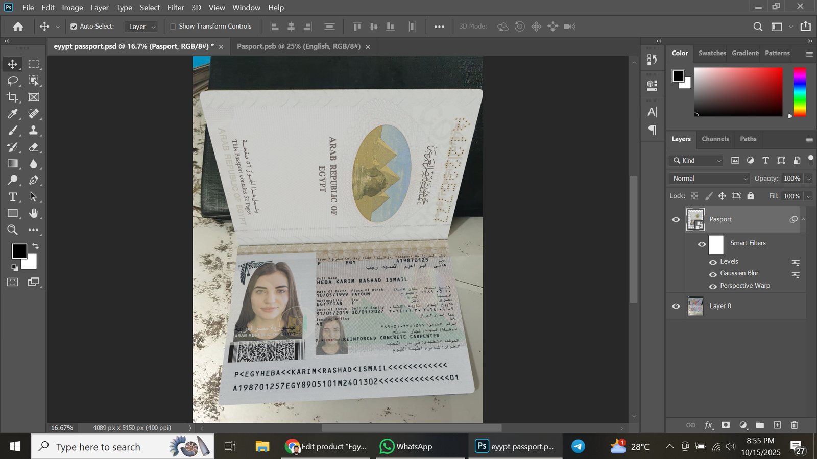 Egypt Passport 2008 PSD Template Preview