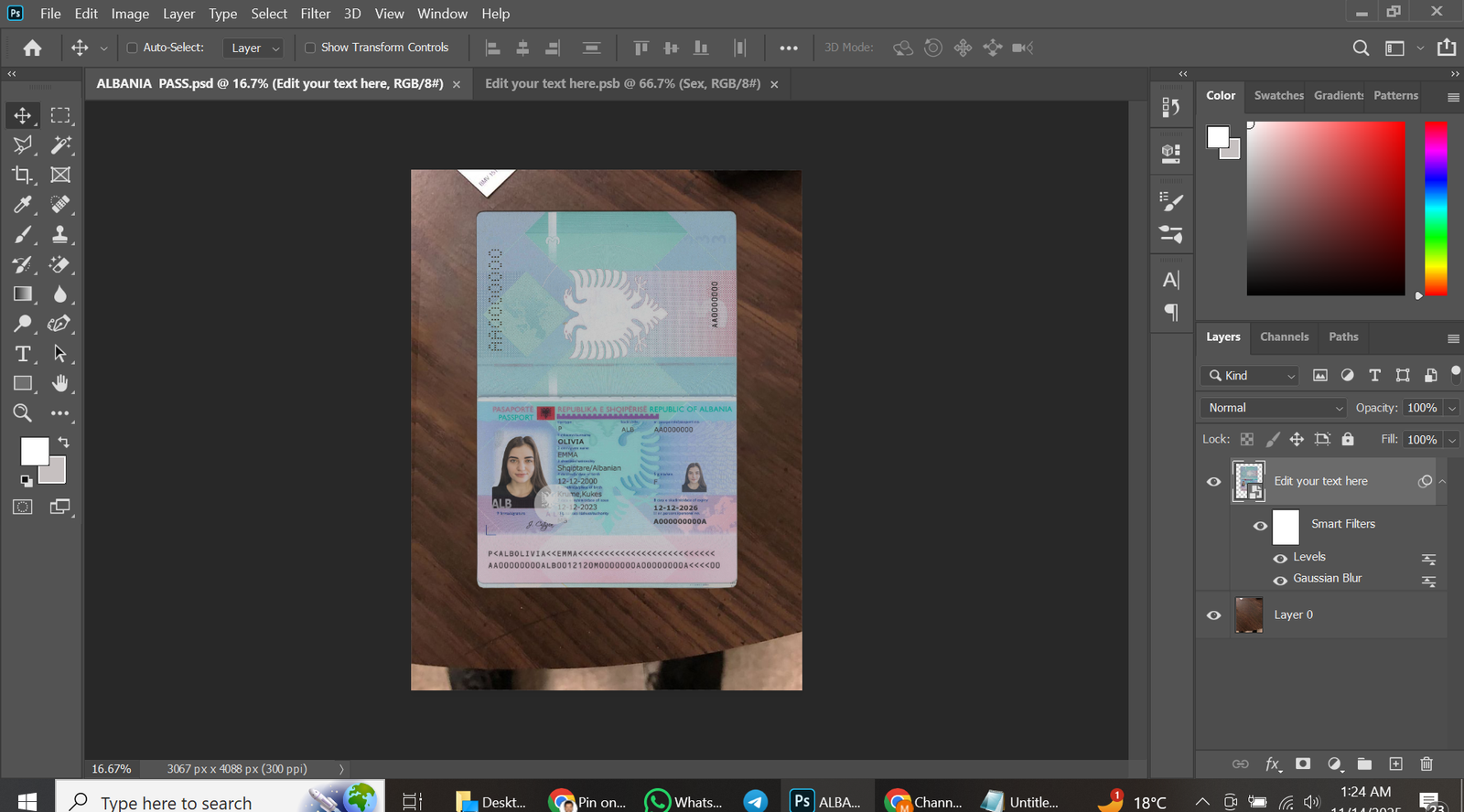 Albania Passport PSD Template Preview