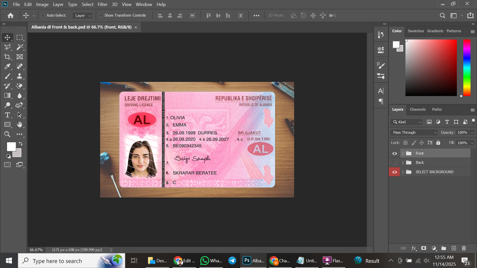 Albania Driving Licence Version 2 PSD Template Preview
