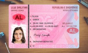 Albania Driving Licence PSD Template (Version 2) – Fully Editable & Instant Download