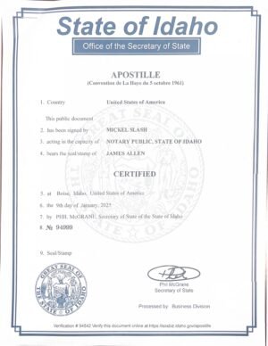 USA Western Reserve Mining Company Financial Statement PDF Editing Service