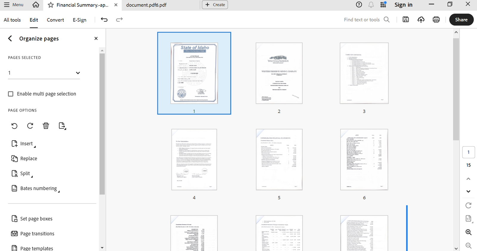 USA Western Reserve Mining Company Financial Statement PDF download and Editing Service - Image 4