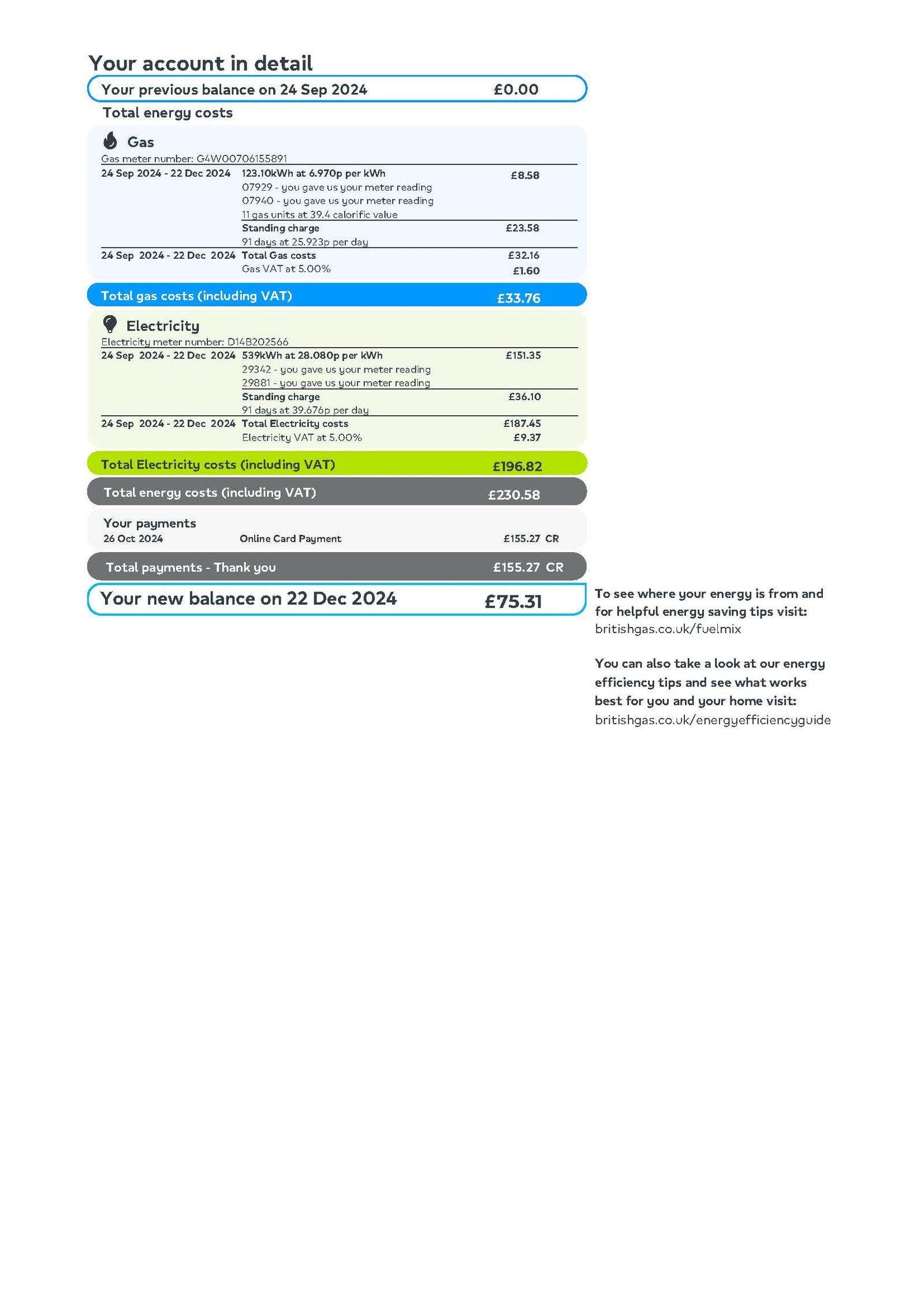 UK British Gas Utility Bill PDF Download 2025 - Image 5