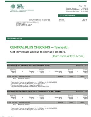 USA Idaho Central Credit Union Bank Statement Editing PDF Service Combo Pack