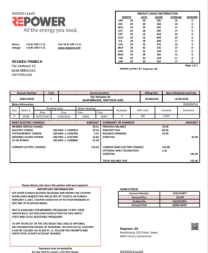 Switzerland REPOWER Utility Bill PDF Template – Fully Editable & Instant Download