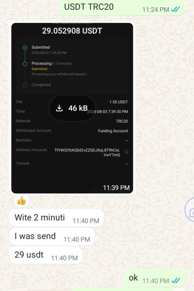 Screenshot_20240817-031245